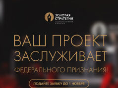 Стратегия становится значимой, когда её результат признаёт профессиональное сообщество